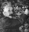 ein.gif (5974 bytes)